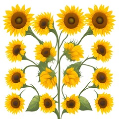  sunflower isolated on white background, Generative AI