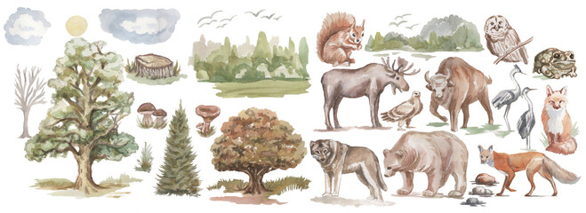 Animals forest bear wolf fox owl birds elk bison trees oak pine spruce mushrooms fauna flora plants watercolor illustration hand drawn set large on white background nature wild Europe Asia