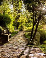 Garden pathway lit by afternoon sun with wooden bench.
