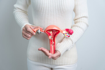 Woman holding Uterus and Ovaries model. Ovarian and Cervical cancer, Cervix disorder,...
