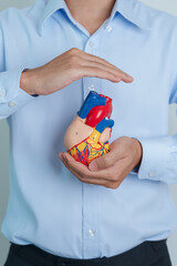 man holding human Heart model. Cardiovascular Diseases, Atherosclerosis, Hypertensive Heart,...