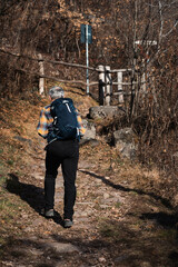 Naklejka premium Elderly hiker walks along a mountain path. Back view of an old man with backpack and hiking boots. Peace, nature walk and healthy lifestyle. Gray hair and plaid shirt.