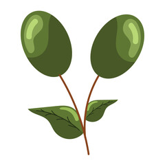 olives plant icon