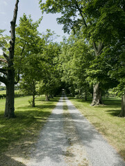 Long dirt driveway leading to farmhouse in country