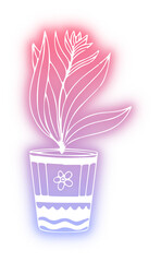 Set of Plant Pot neon