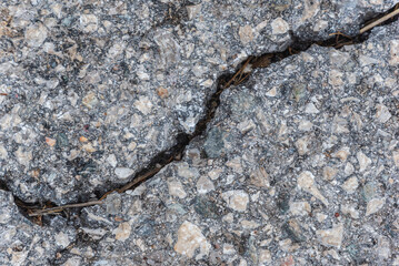 Riss im Asphalt