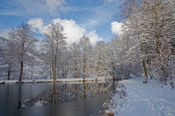 étang en hiver dans les Vosges