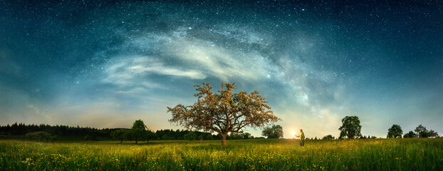 The Milky Way and clouds creating an arch shape above a beautiful tree on a blossoming meadow, a...
