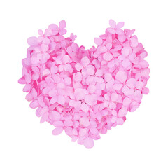 pink flower blooming of heart  on transparent background
