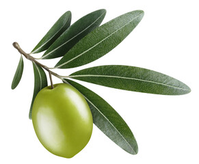 Single green olive with leaves cut out - obrazy, fototapety, plakaty