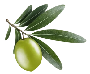 Wandaufkleber Single green olive with leaves cut out © Yeti Studio