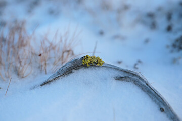 Winterlandschaft in Norwegen, Hardangervidda Winterwonderland