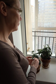 Woman Taking Care Of The Plants