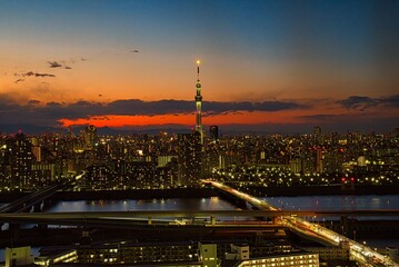 日本、東京の夜景