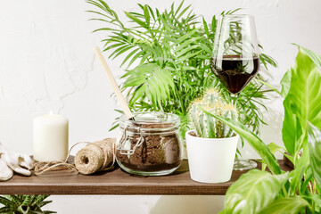 Sustainable home still life with beautiful potted plants and succulents with accessories, glass of red wine and candle. Eco friendly interior. Home gardening, hobby, relax at home and me time concept