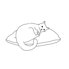 Vector isolated one cute cat sleeping lying on a pillow colorless black and white contour line easy drawing