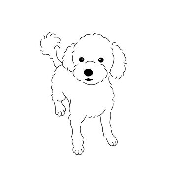 Vector isolated one cute cartoon little shaggy lapdog dog puppy colorless black and white contour line easy drawing