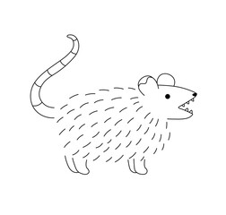 Vector isolated one single shaggy toothy rat possum with long tail side view colorless black and white contour line easy drawing