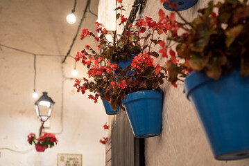 Street decoration with flower pots