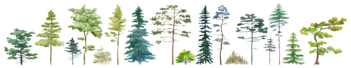 Watercolor tree set. Green pine, beige bush, blue spruce, lush ash
