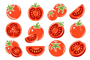 Red tomatoes collection isolated on white background. Vector illustration