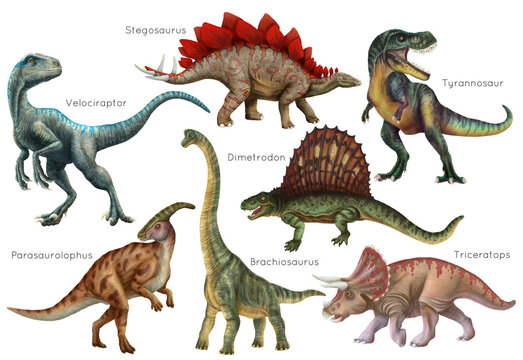 Fototapeta Dinosaur set. Stegosaurus, Dimetrodon, Velociraptor, Triceratops, Brachiosaurus, Tyrex, Parasaurolophus