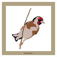 a bird goldfinch sits on a branch