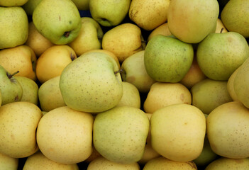 organic and fresh yellow apples at the market