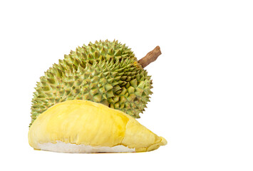 Monthong durian is a good fruit of Thailand. isolated on white background.