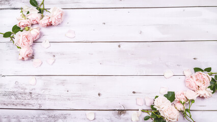 pink roses on white wooden background