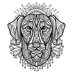 Coloring book page labrador dog vector illustration