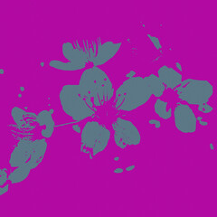 Obraz na płótnie Canvas Motifs fleuris, bichromie, fleurs de cerisier, saison, printemps, gris, mauve, renouveau, renaissance