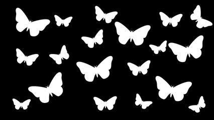 Butter fly 2D flat colored.Simple vector flying butterfly