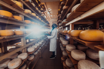 African American Muslim businesswoman checking product quality and entering data into a laptop at a local cheese manufacturing company