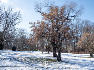 in the reservation covered with snow in winter