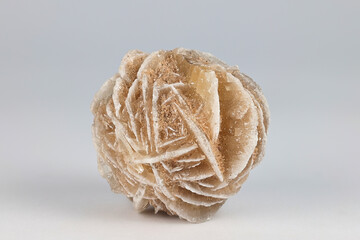 Desert rose or sand rose is a rose-like formations of crystal clusters of gypsum and abundant sand...