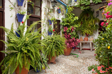 Andalusian house courtyard 