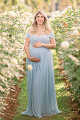 Barriga da mamãe grávida com vestido azul, a espera do bebê, entre plantação de flores no campo na primavera.