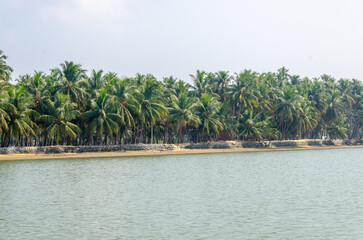 Backwaters of Kemmanu delta