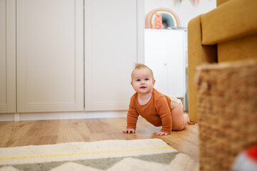 Caucasian baby toddler crawls on all fours around the room