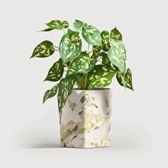 Potted plant