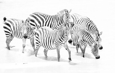 Fototapeta na wymiar Highkey image of zebras at Masai Mara, Kenya
