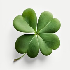 4 Leaf Clover Close-Up On White Background with Soft Shadow