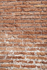 Brick wall of an old renovated house