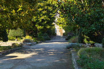 Jardin du monastère de Cimiez à Nice.