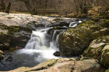 waterfall in the forest