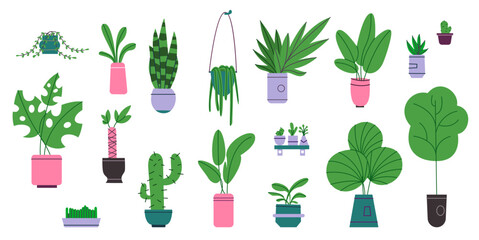 Cartoon home plants. Different decorative houseplants in pots. Cozy interior. Green ficuses and cacti. House garden. Cactus and palm in flowerpots. Vector indoor greenhouse elements set