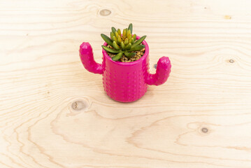 A small decorative pink cactus shaped pot on a raw unvarnished wooden table