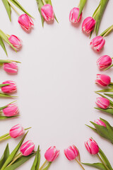 Beautiful fresh pink tulips in full bloom on white background, top view. Negative space for text. Minimalist flat lay with spring flowers.