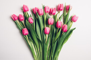 Beautiful fresh pink tulip flowers in full bloom on white background, top view. Minimalist flat lay with spring blooms.